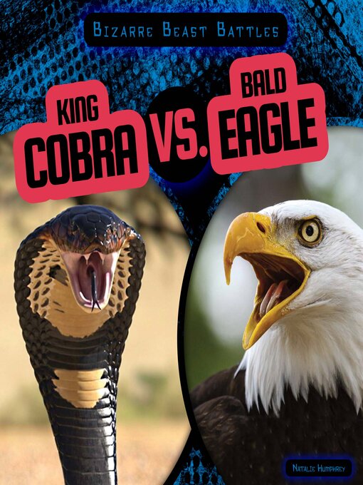 Cover image for King Cobra vs. Bald Eagle